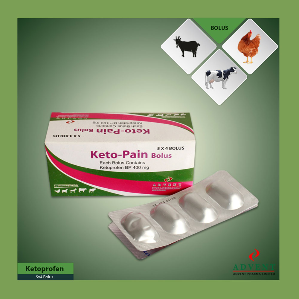 KETO-PAIN BOLUS – Welcome to Advent Pharma Limited